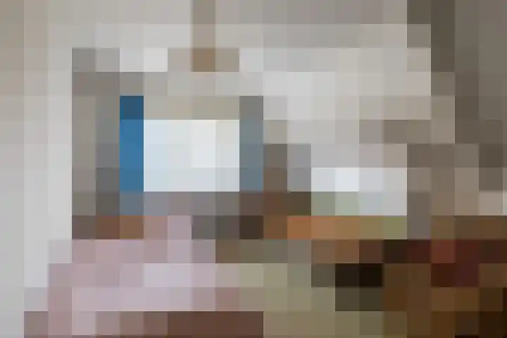 Veenakkers 44 Gieterveen thumbnail 21