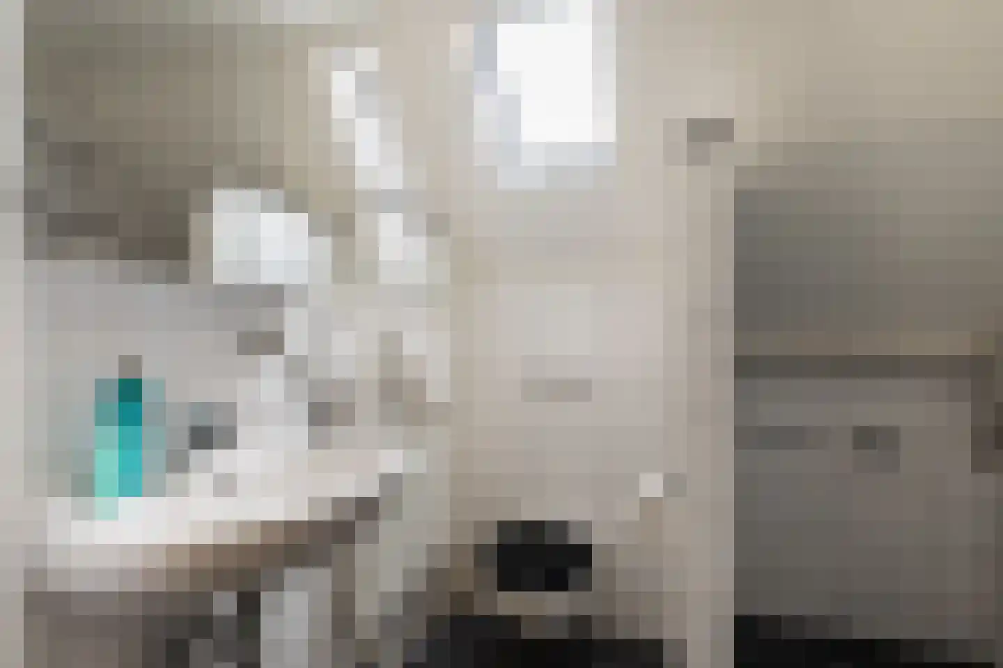 Veenakkers 44 Gieterveen thumbnail 22