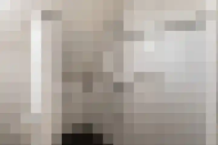 Veenakkers 44 Gieterveen thumbnail 24