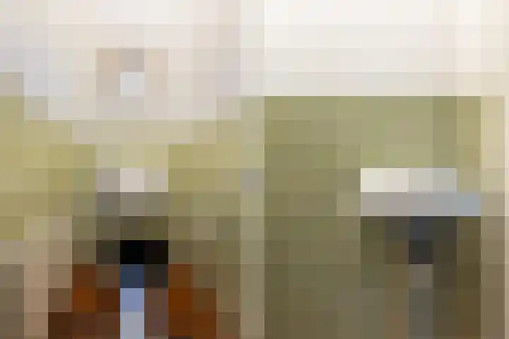 Veenakkers 44 Gieterveen thumbnail 26