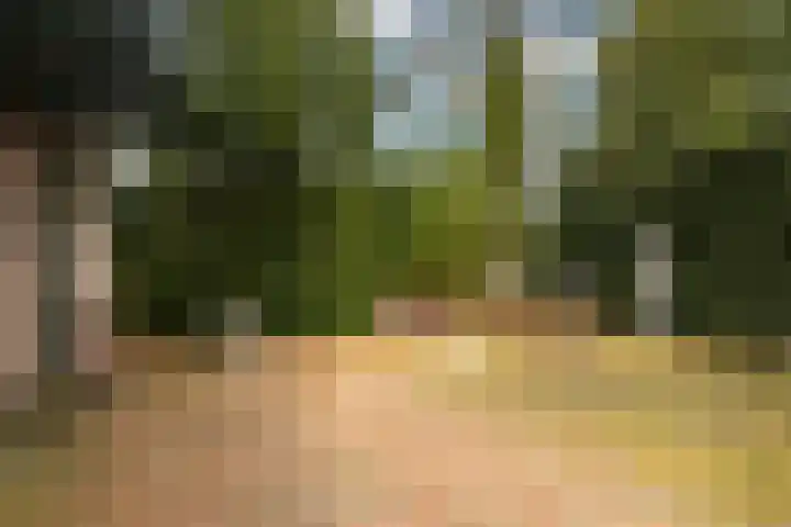 Veenakkers 44 Gieterveen thumbnail 28