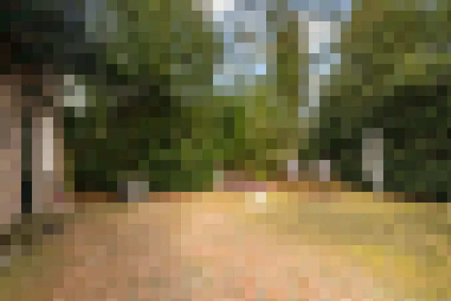 Veenakkers 44 Gieterveen thumbnail 28