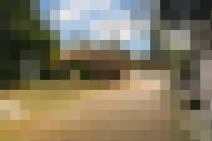 Veenakkers 44 Gieterveen thumbnail 29