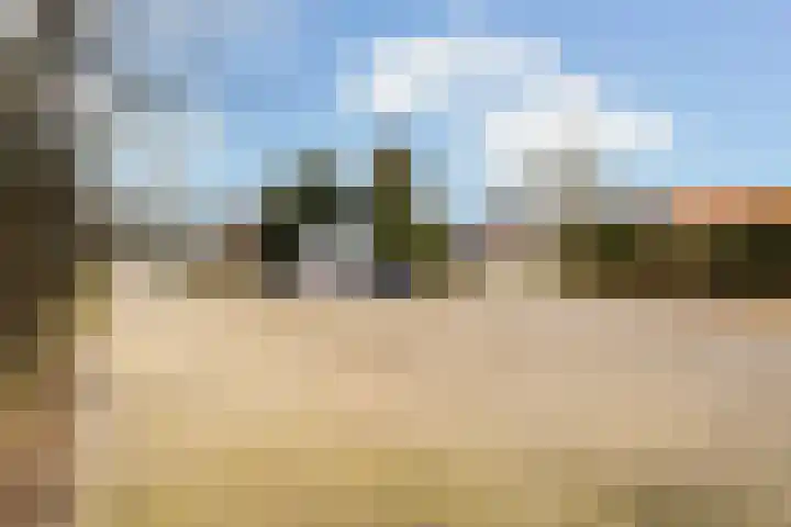 Veenakkers 44 Gieterveen thumbnail 30