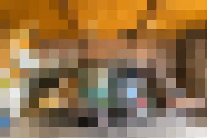 Veenakkers 44 Gieterveen thumbnail 34