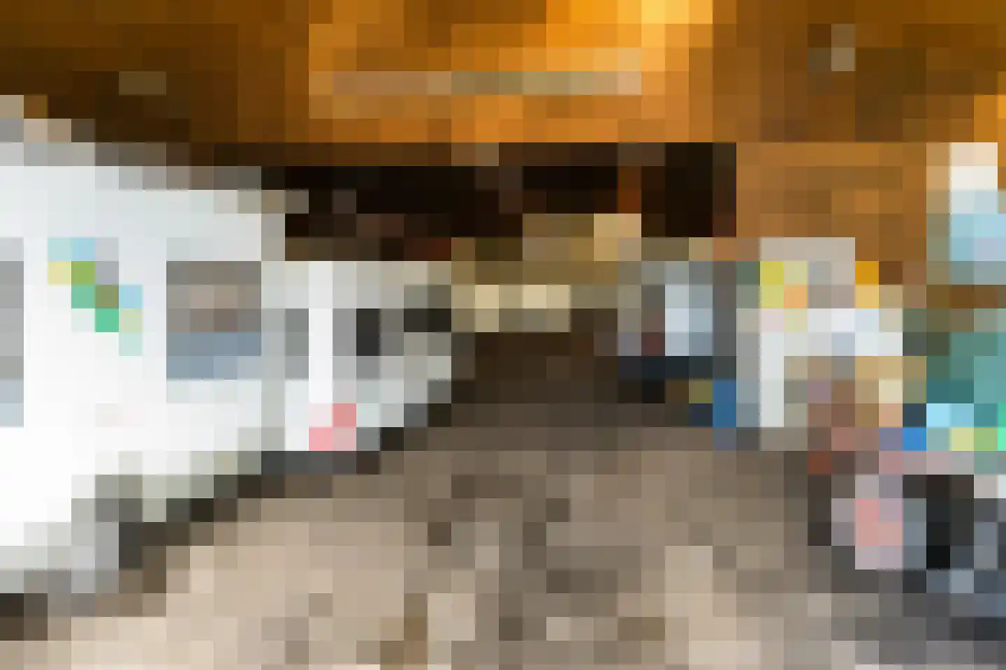 Veenakkers 44 Gieterveen thumbnail 35