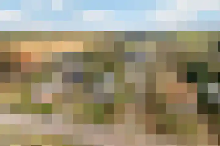 Veenakkers 44 Gieterveen thumbnail 36