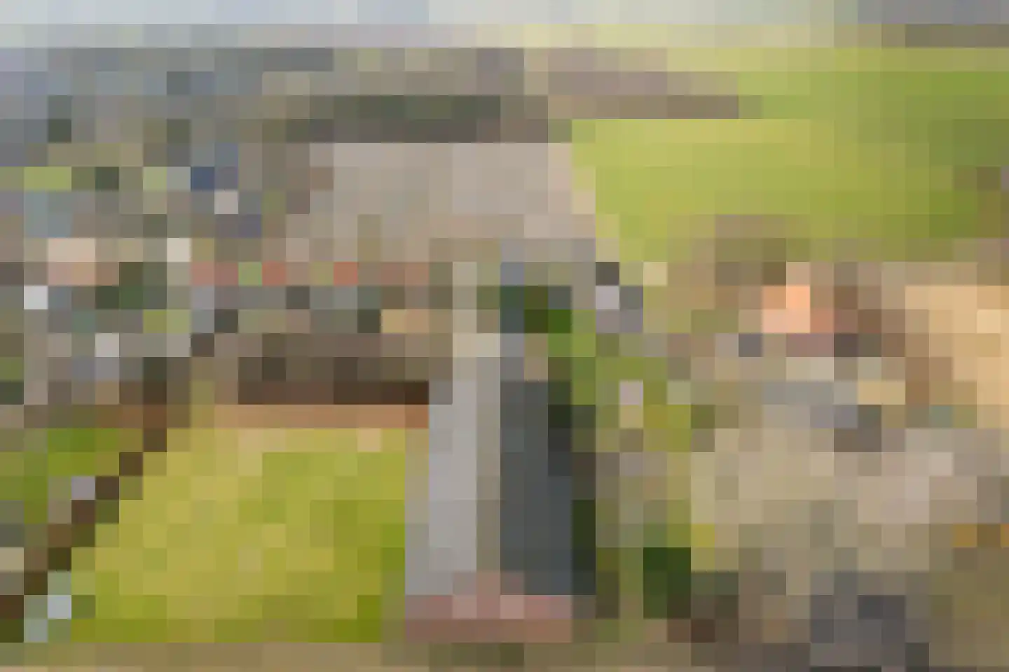 Veenakkers 44 Gieterveen thumbnail 37