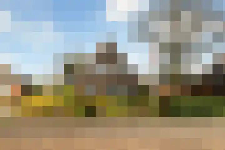 Veenakkers 44 Gieterveen thumbnail 38