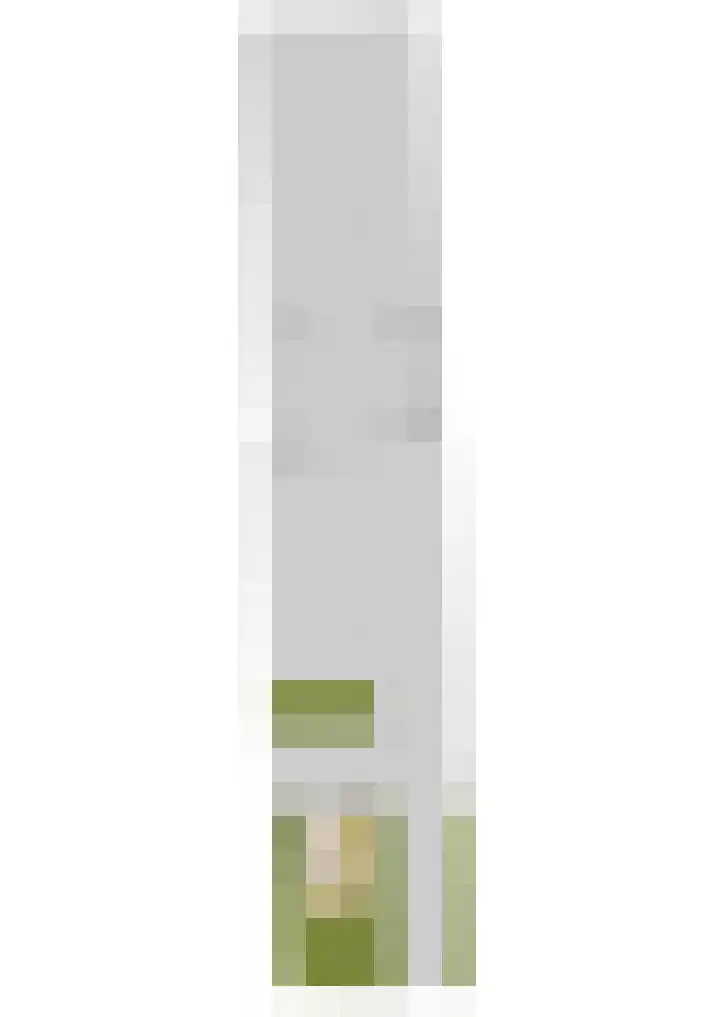 Veenakkers 44 Gieterveen thumbnail 48