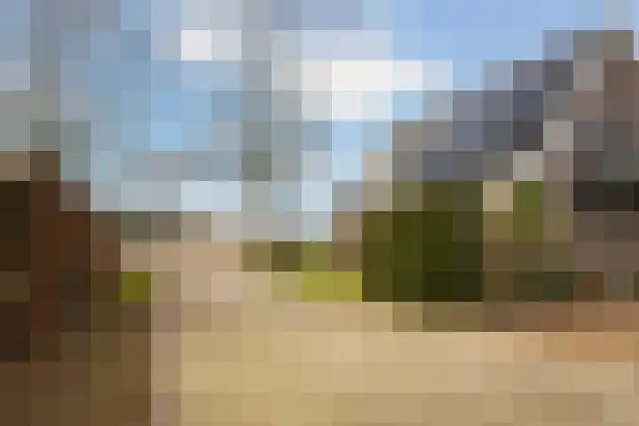 Veenakkers 44 Gieterveen thumbnail 5