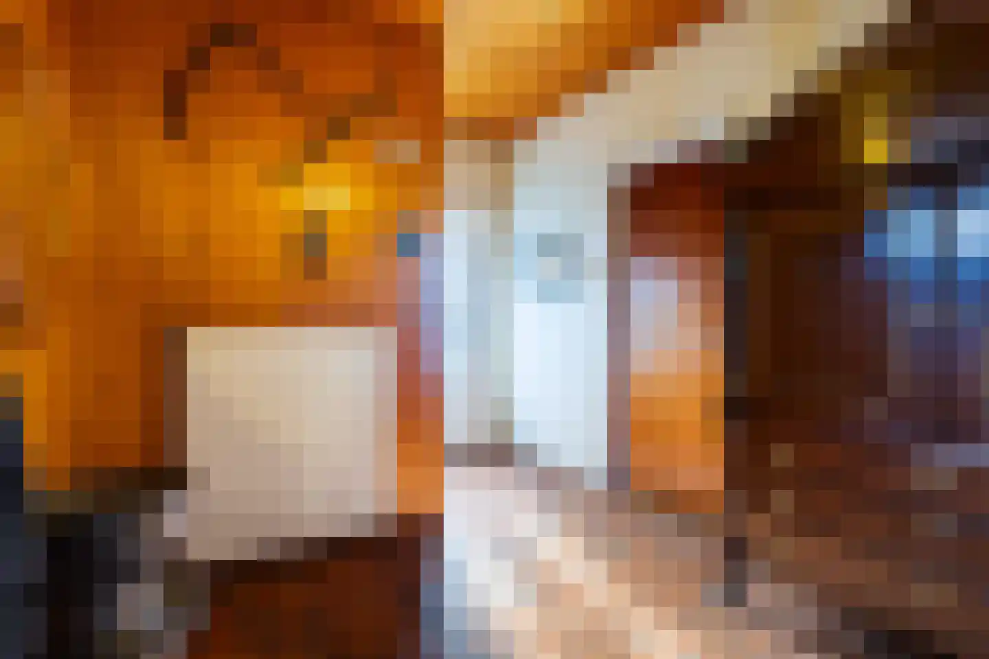 Veenakkers 44 Gieterveen thumbnail 8
