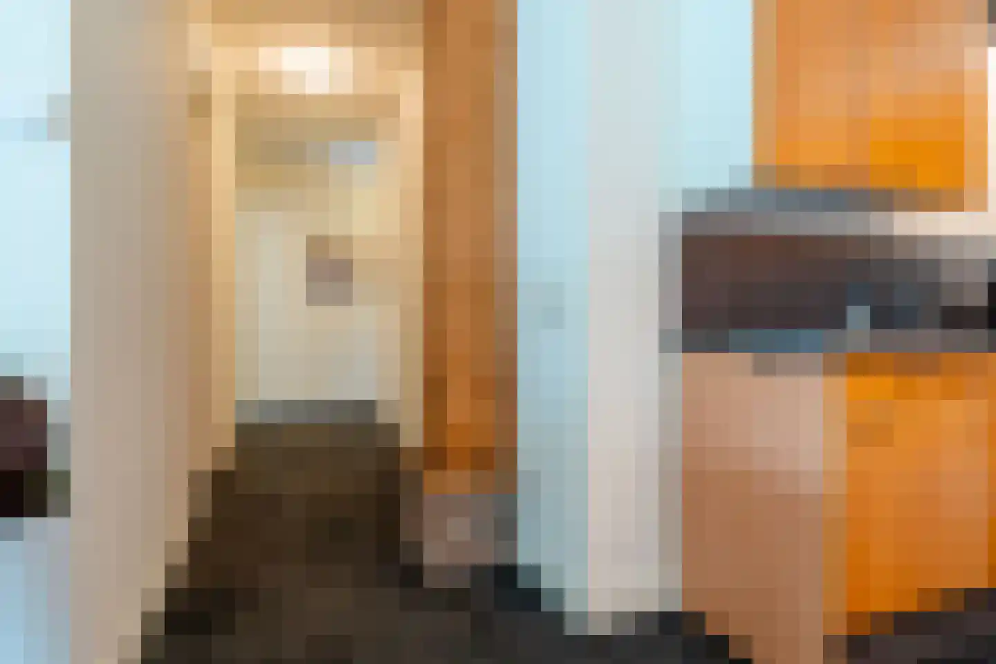 Veenakkers 58 Gieterveen thumbnail 101