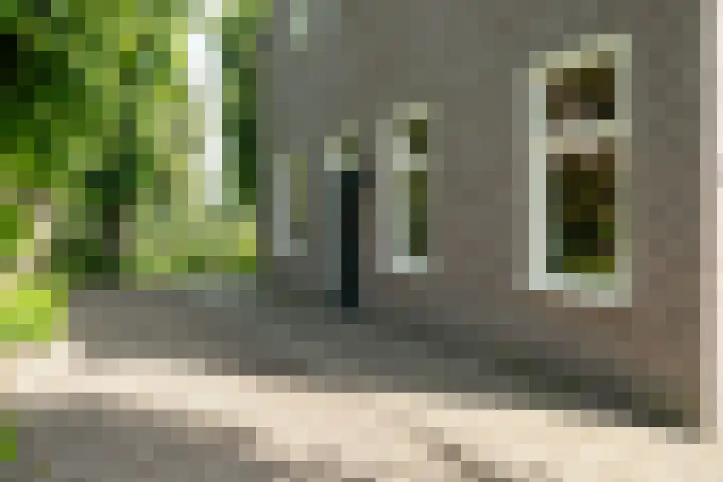 Veenakkers 58 Gieterveen thumbnail 11
