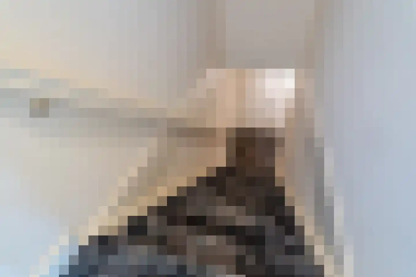 Veenakkers 58 Gieterveen thumbnail 113