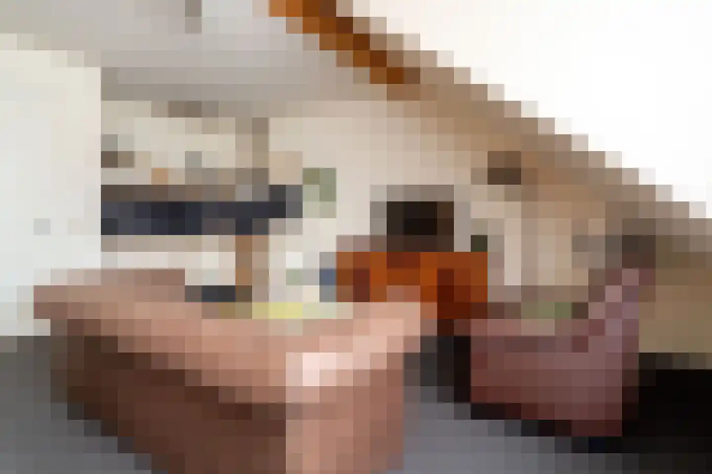 Veenakkers 58 Gieterveen thumbnail 116
