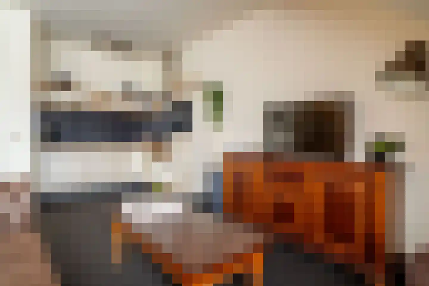 Veenakkers 58 Gieterveen thumbnail 117