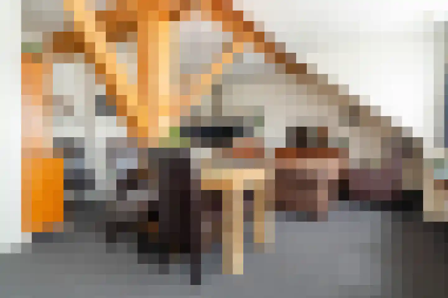 Veenakkers 58 Gieterveen thumbnail 119