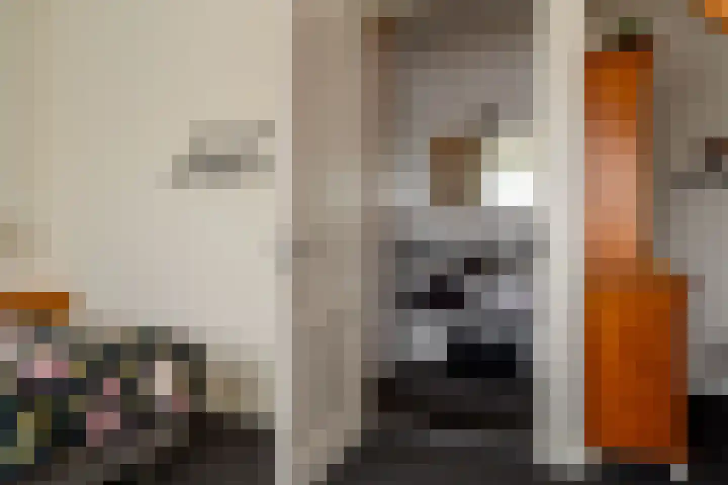 Veenakkers 58 Gieterveen thumbnail 122