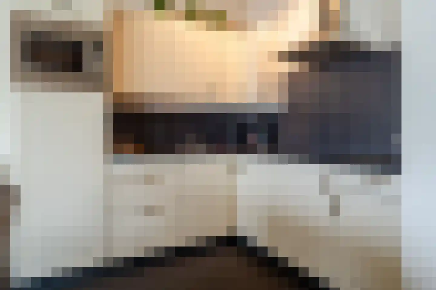 Veenakkers 58 Gieterveen thumbnail 127