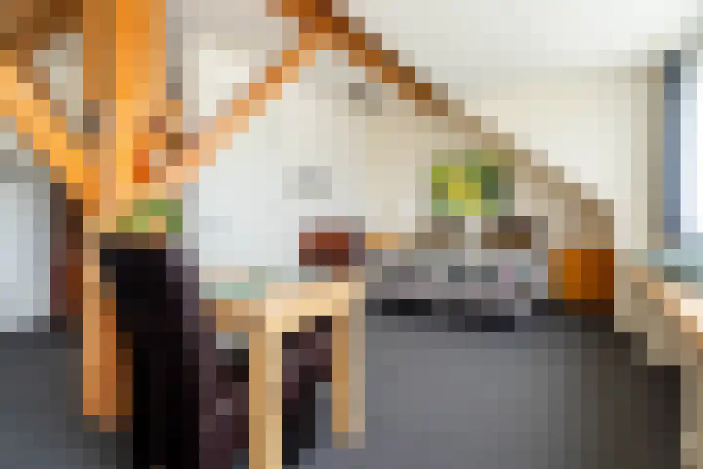 Veenakkers 58 Gieterveen thumbnail 129