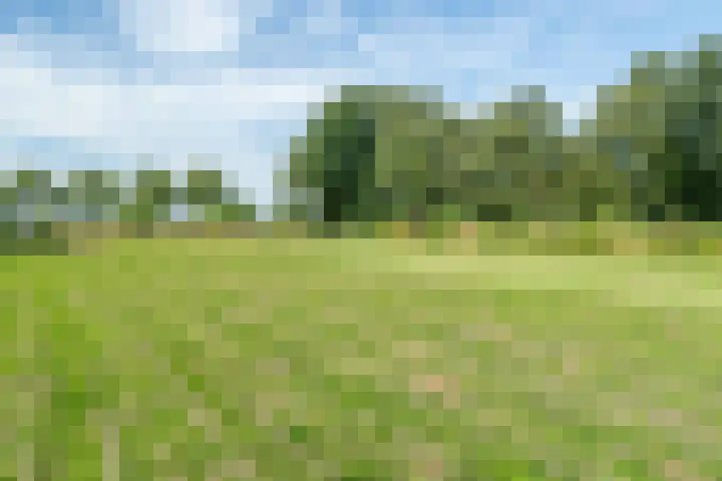 Veenakkers 58 Gieterveen thumbnail 133