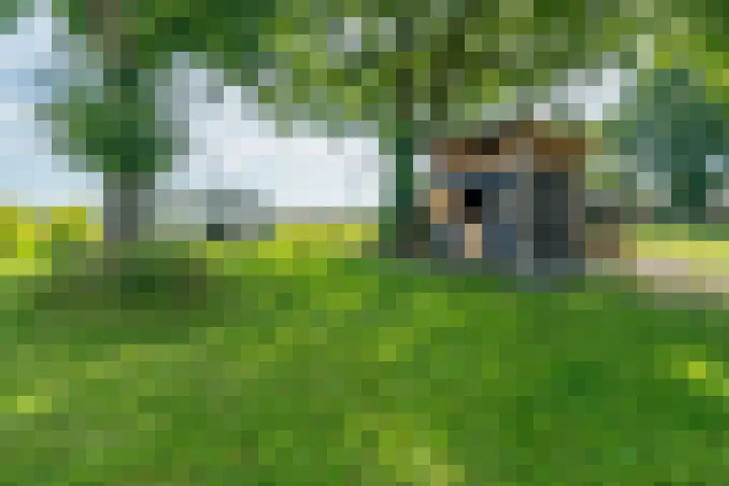Veenakkers 58 Gieterveen thumbnail 134