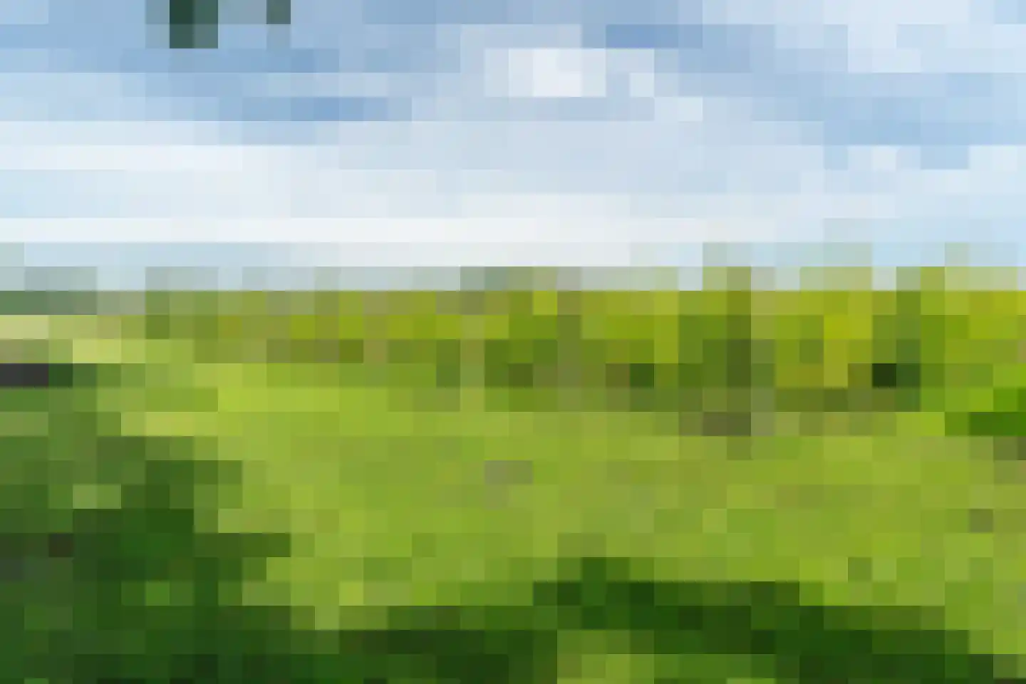 Veenakkers 58 Gieterveen thumbnail 135