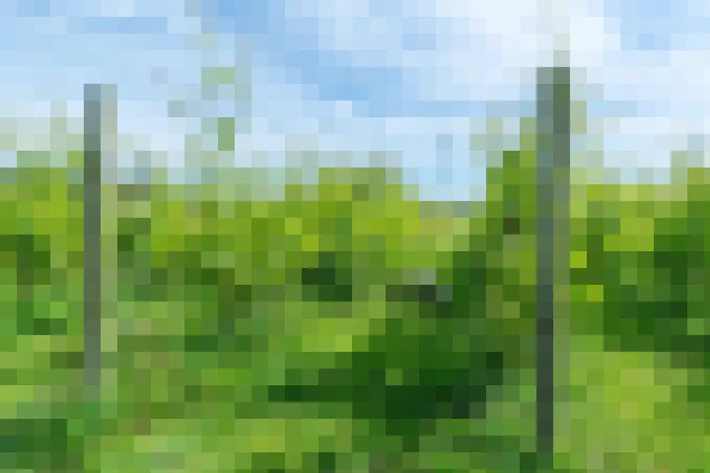 Veenakkers 58 Gieterveen thumbnail 136