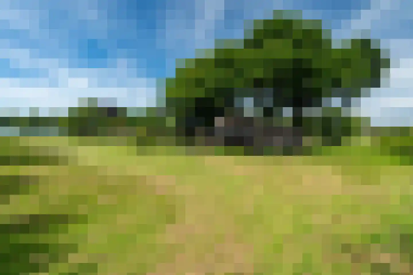 Veenakkers 58 Gieterveen thumbnail 138