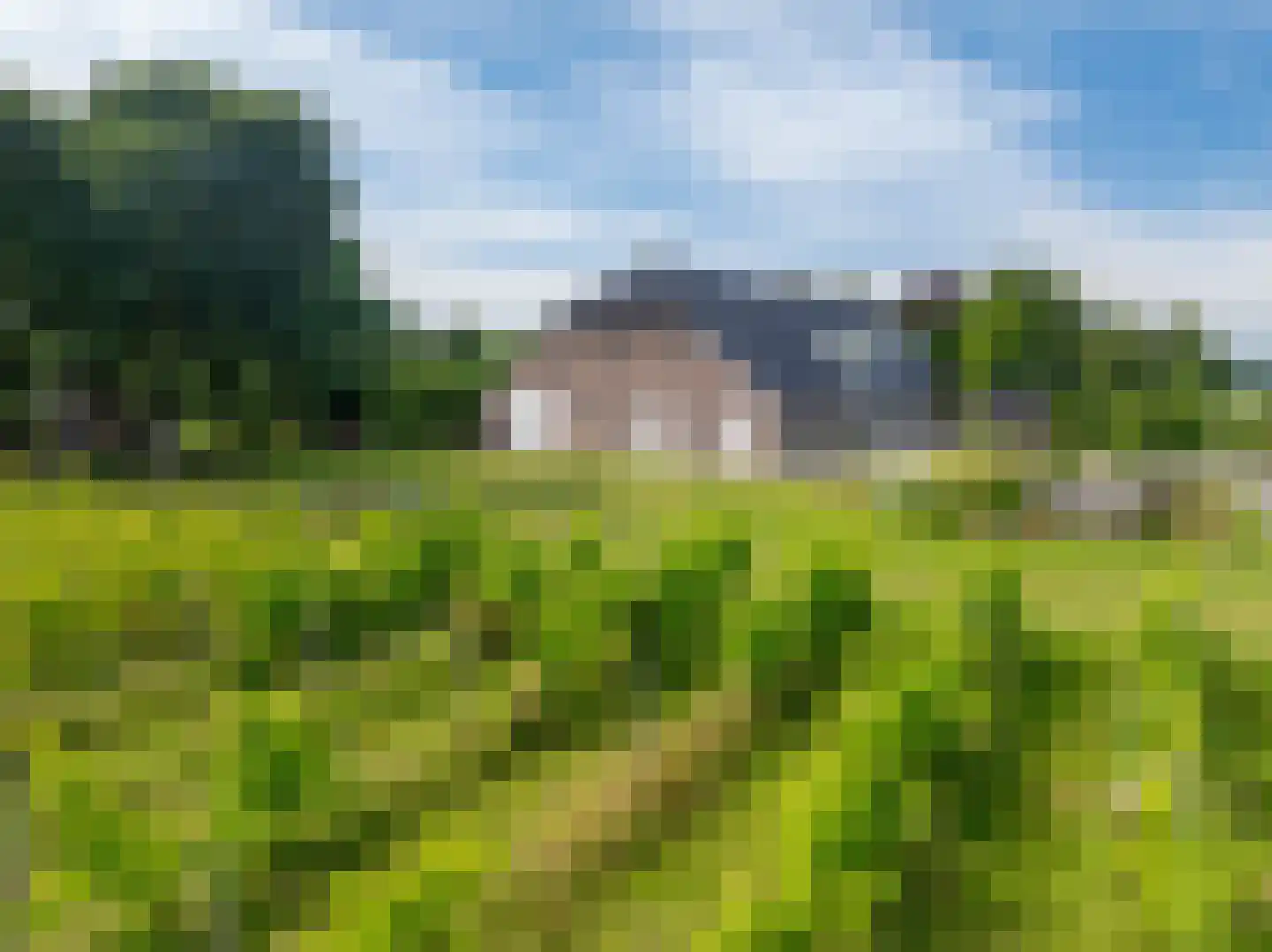 Veenakkers 58 Gieterveen thumbnail 139