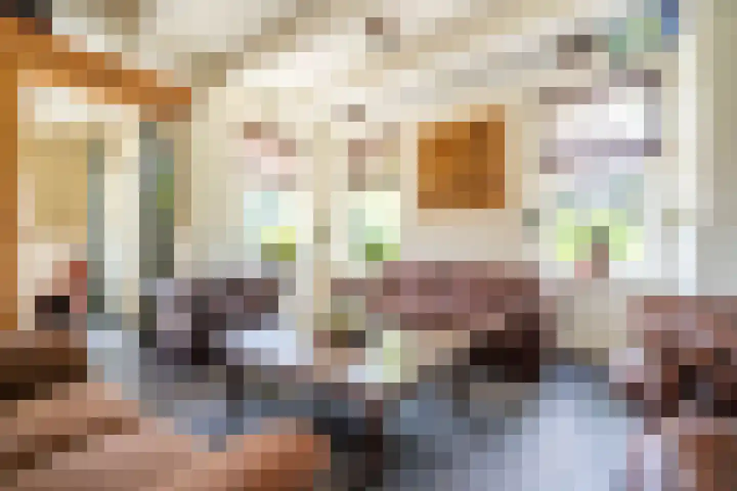 Veenakkers 58 Gieterveen thumbnail 16