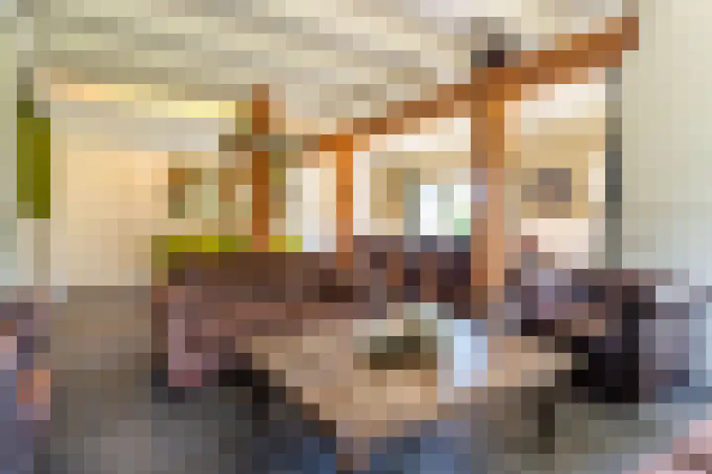 Veenakkers 58 Gieterveen thumbnail 17