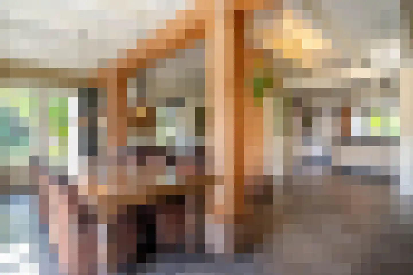 Veenakkers 58 Gieterveen thumbnail 18