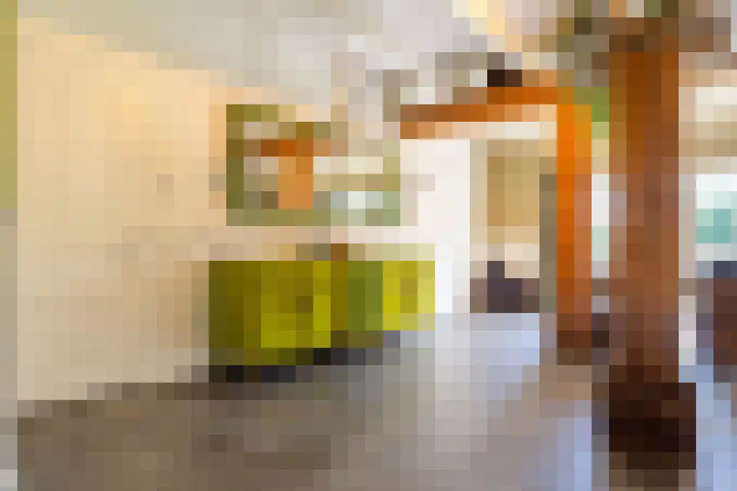 Veenakkers 58 Gieterveen thumbnail 19