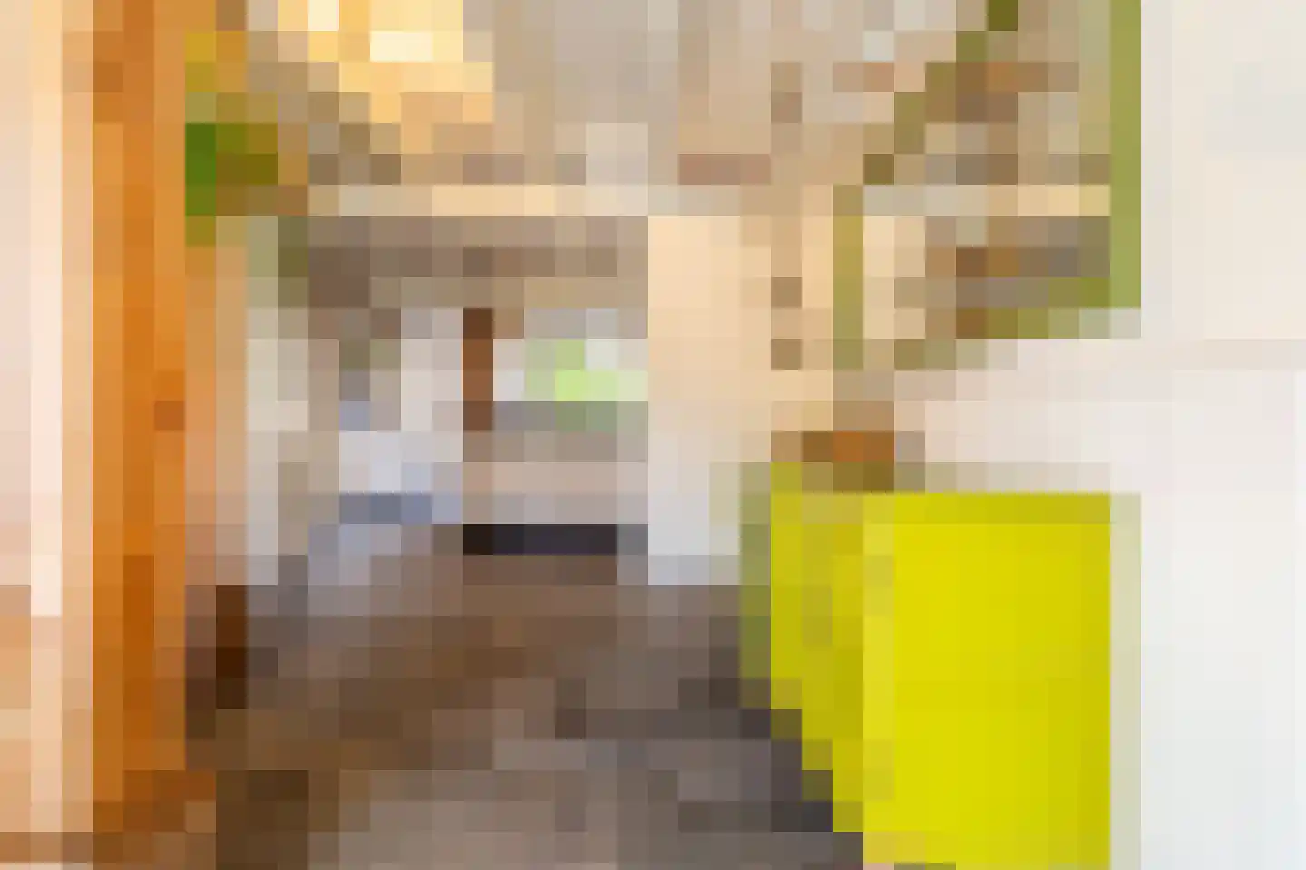 Veenakkers 58 Gieterveen thumbnail 20