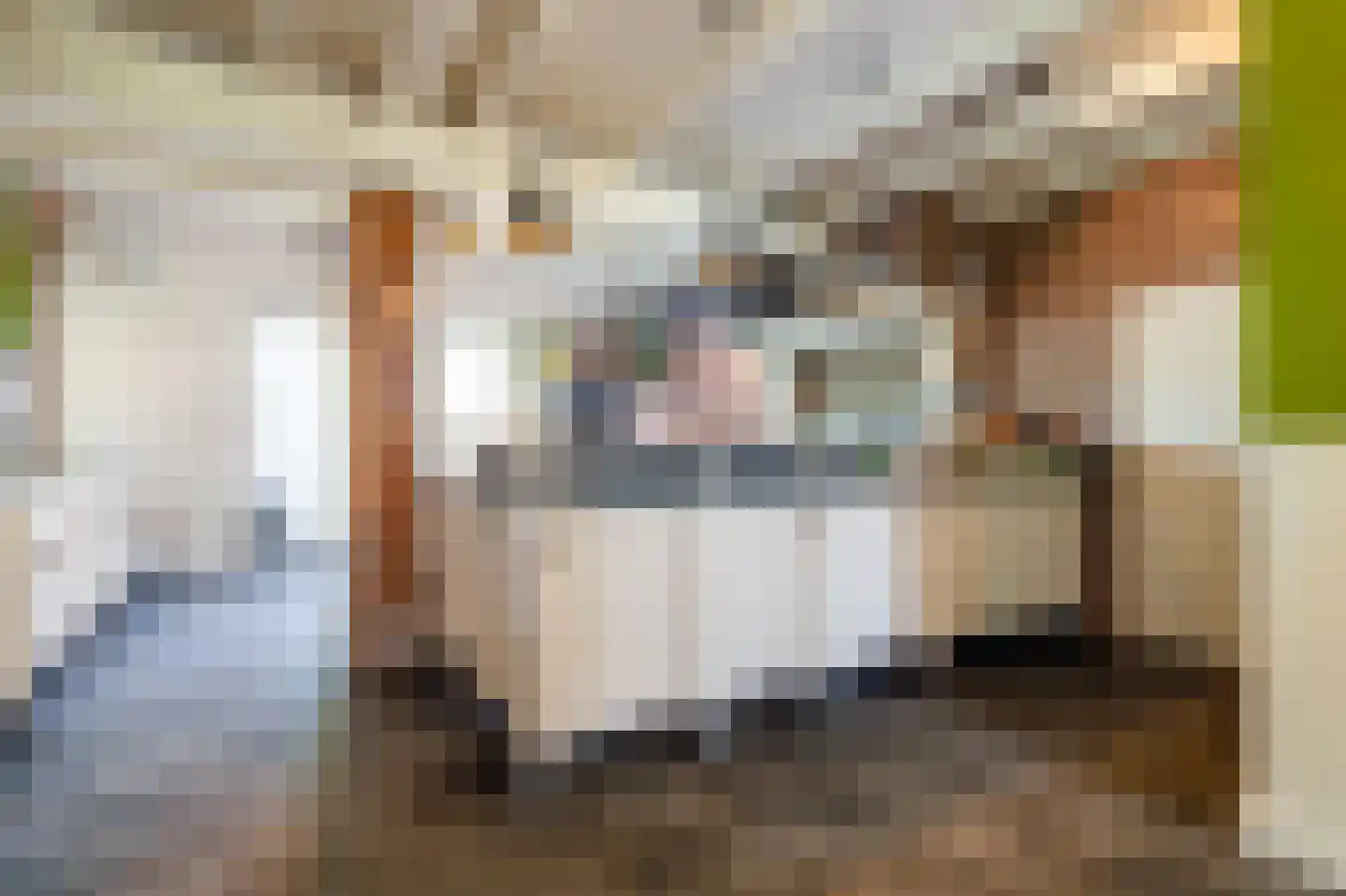 Veenakkers 58 Gieterveen thumbnail 21