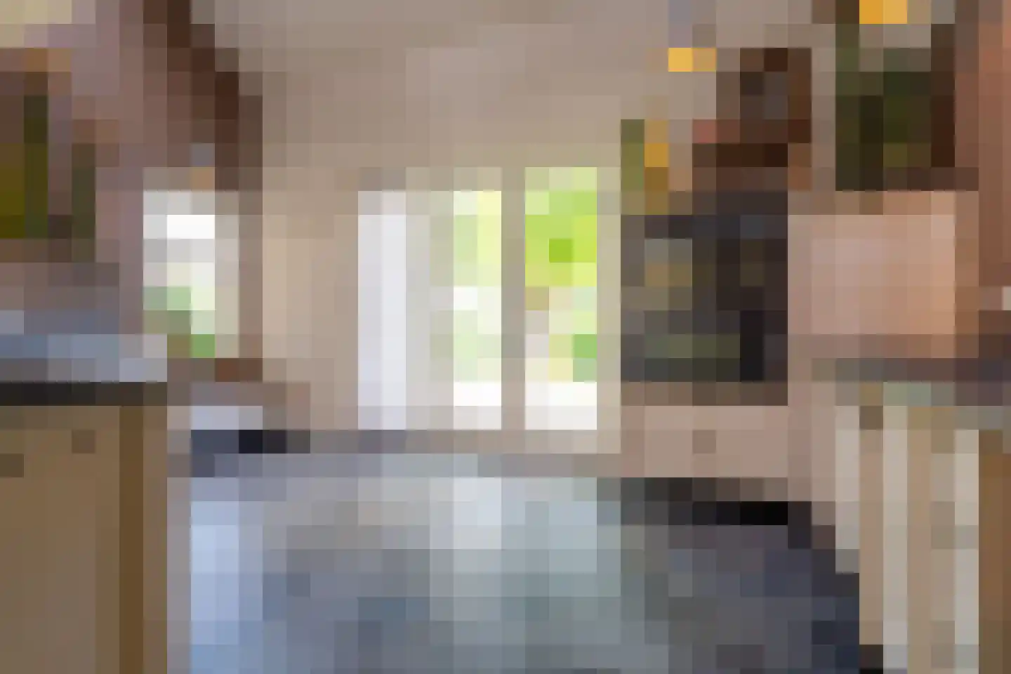 Veenakkers 58 Gieterveen thumbnail 25