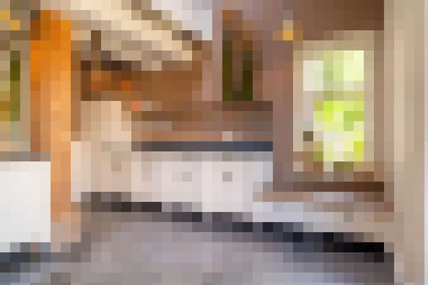 Veenakkers 58 Gieterveen thumbnail 26