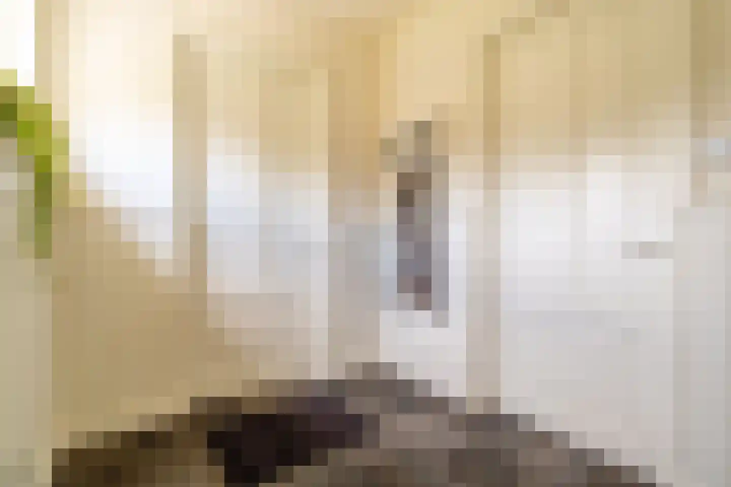 Veenakkers 58 Gieterveen thumbnail 29