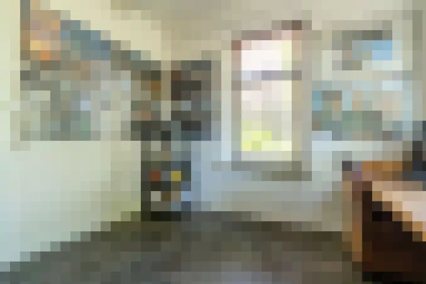 Veenakkers 58 Gieterveen thumbnail 32