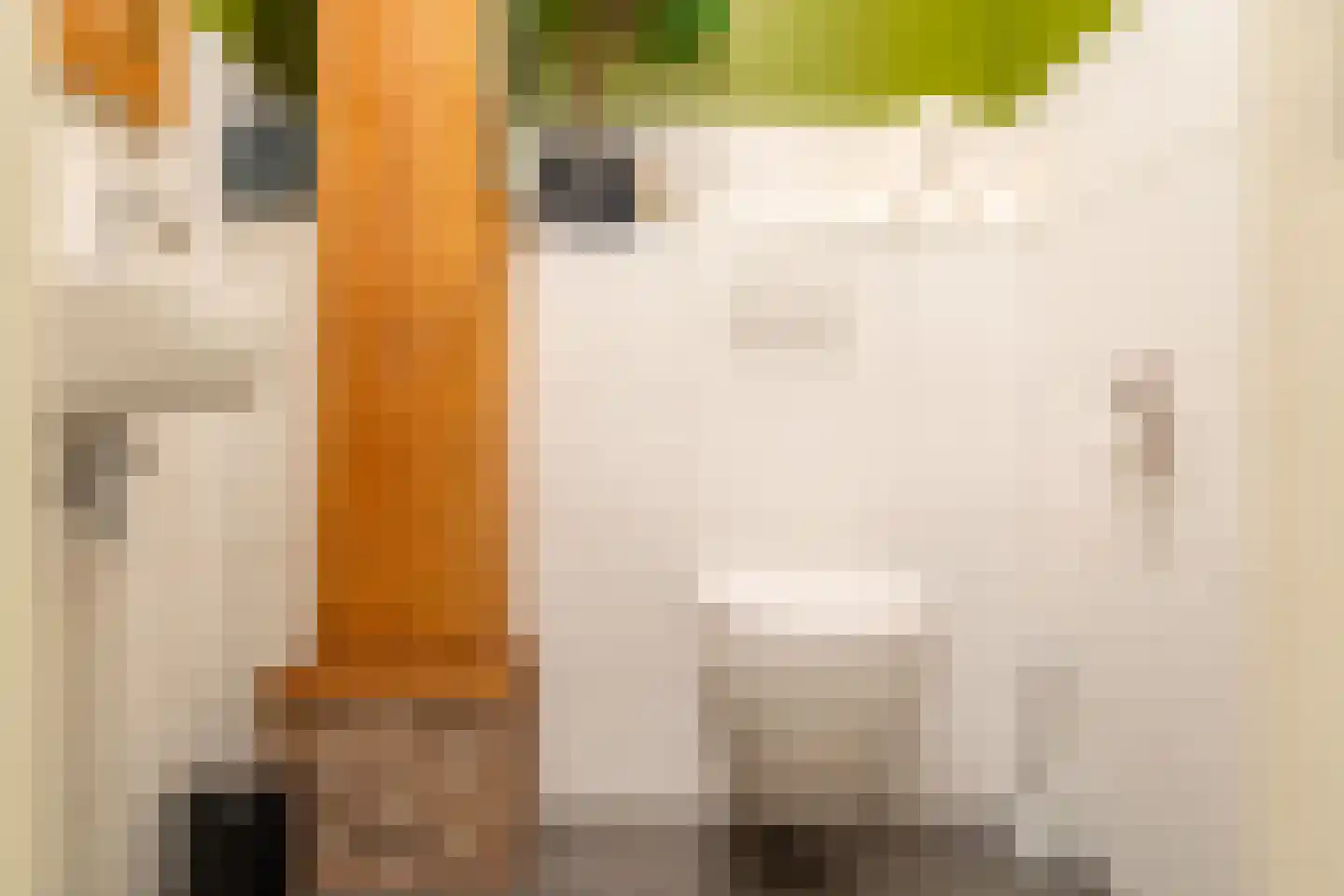 Veenakkers 58 Gieterveen thumbnail 34