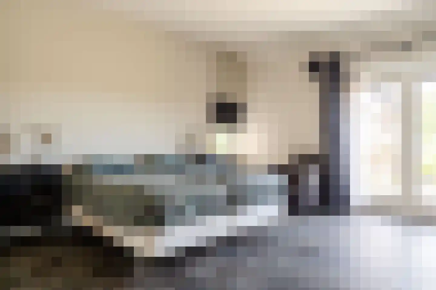 Veenakkers 58 Gieterveen thumbnail 38