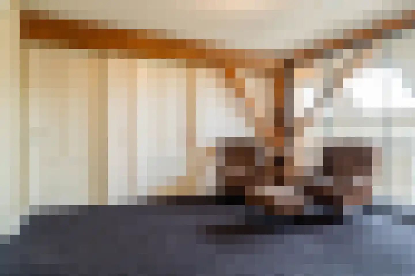 Veenakkers 58 Gieterveen thumbnail 44