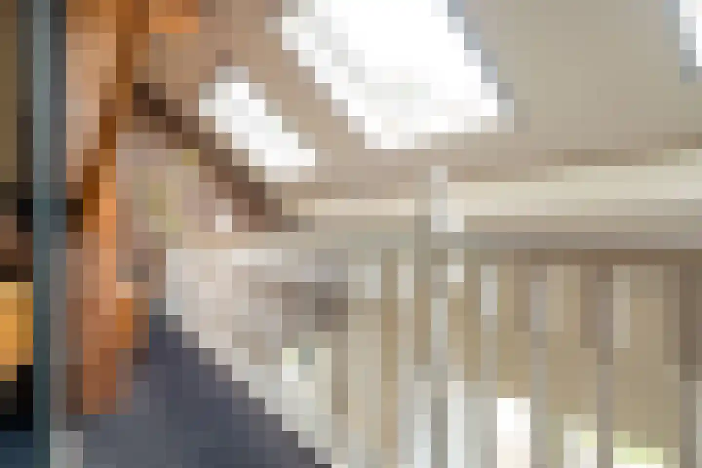 Veenakkers 58 Gieterveen thumbnail 45