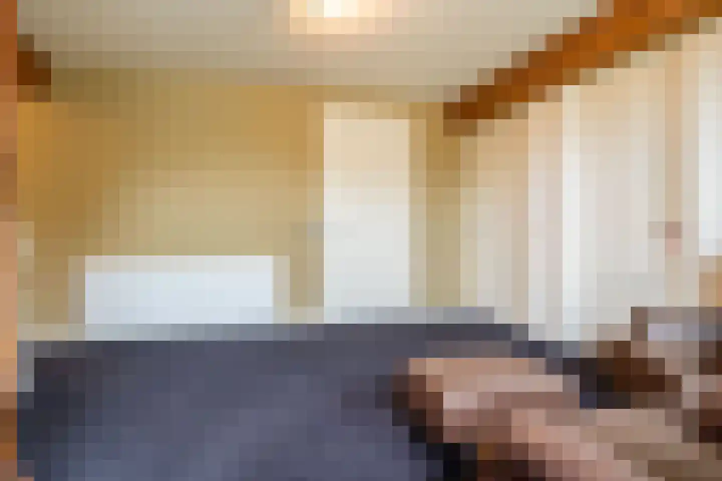 Veenakkers 58 Gieterveen thumbnail 46