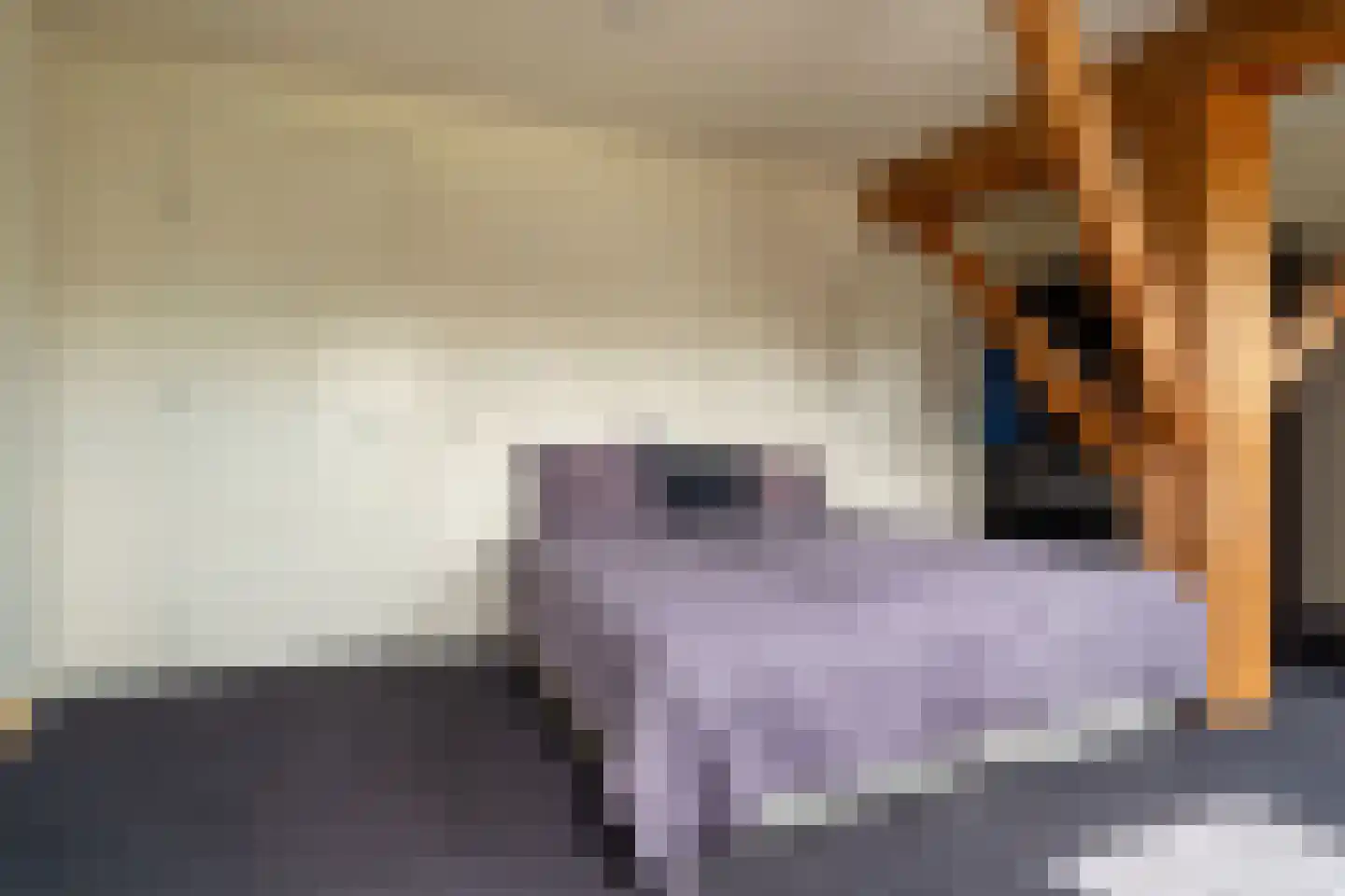 Veenakkers 58 Gieterveen thumbnail 47