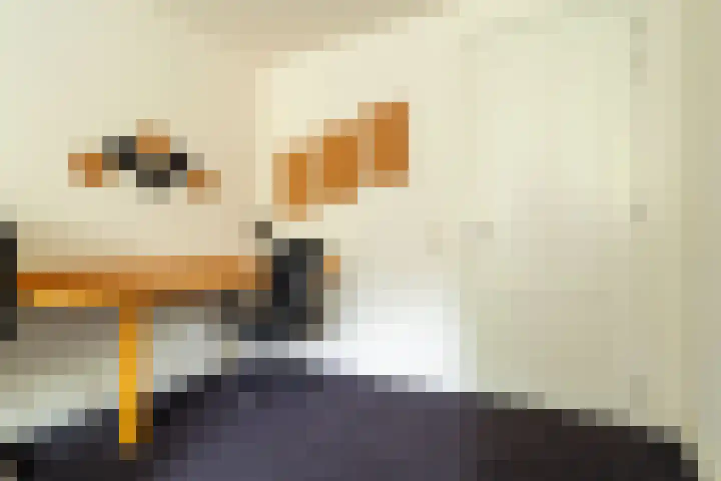 Veenakkers 58 Gieterveen thumbnail 53