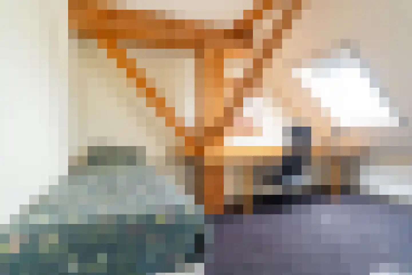 Veenakkers 58 Gieterveen thumbnail 54