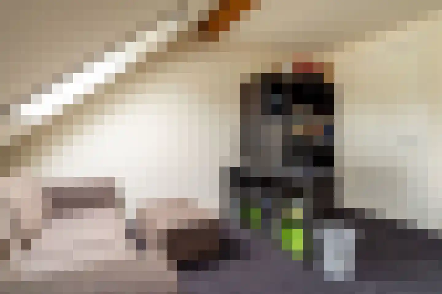 Veenakkers 58 Gieterveen thumbnail 55